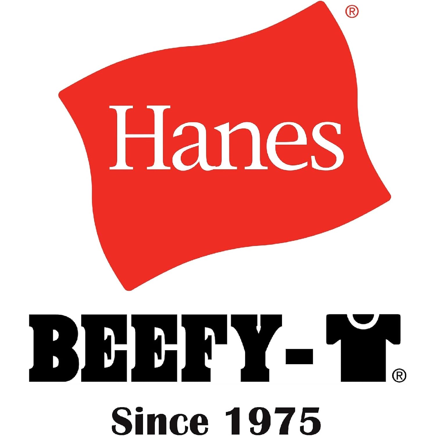 Hanes Herr Beefy-t t‑shirt, Heavyweight bomull t‑shirt, 1 - Image 4