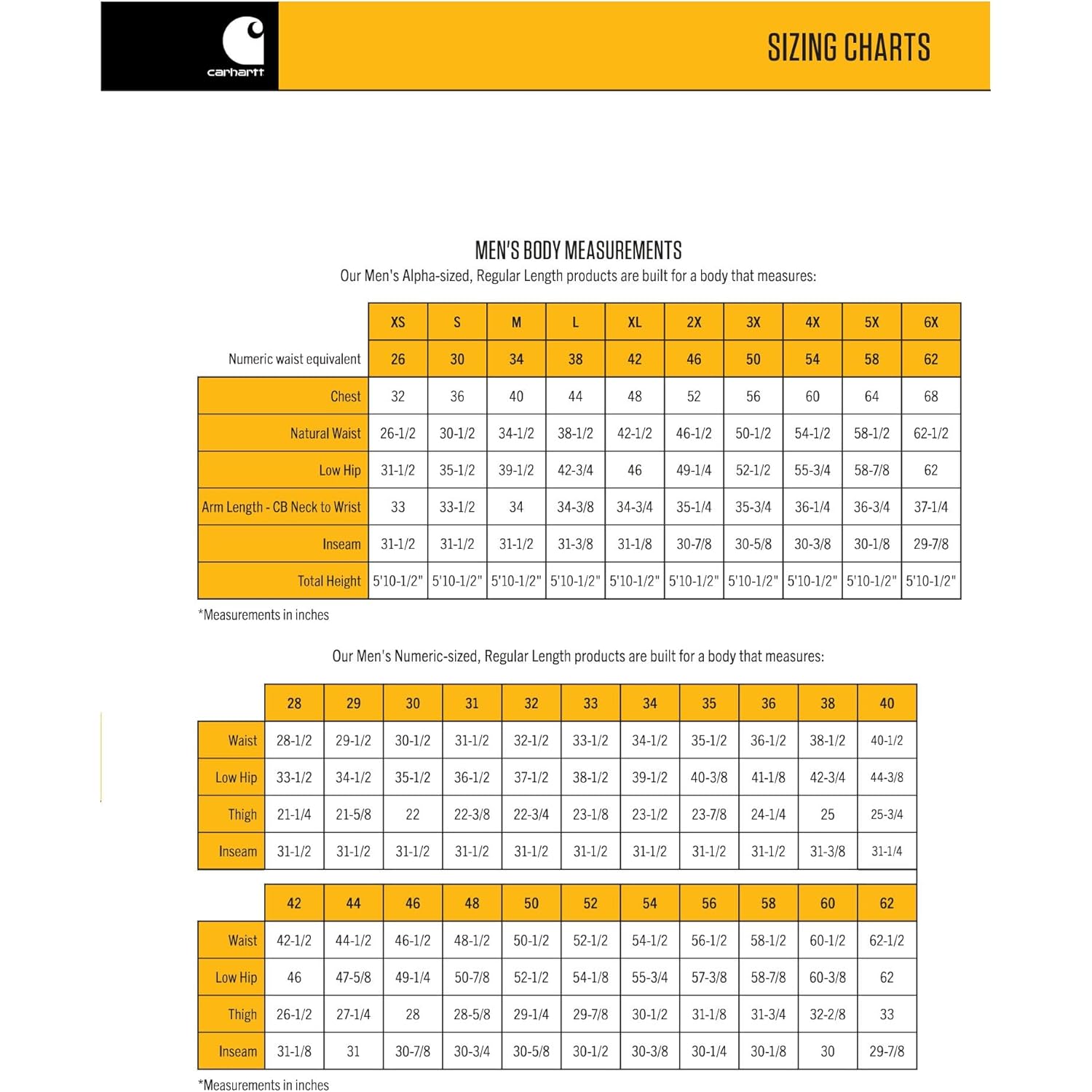 Carhartt Herr 103828 Detroit jacka - Blanket Lined - Image 6