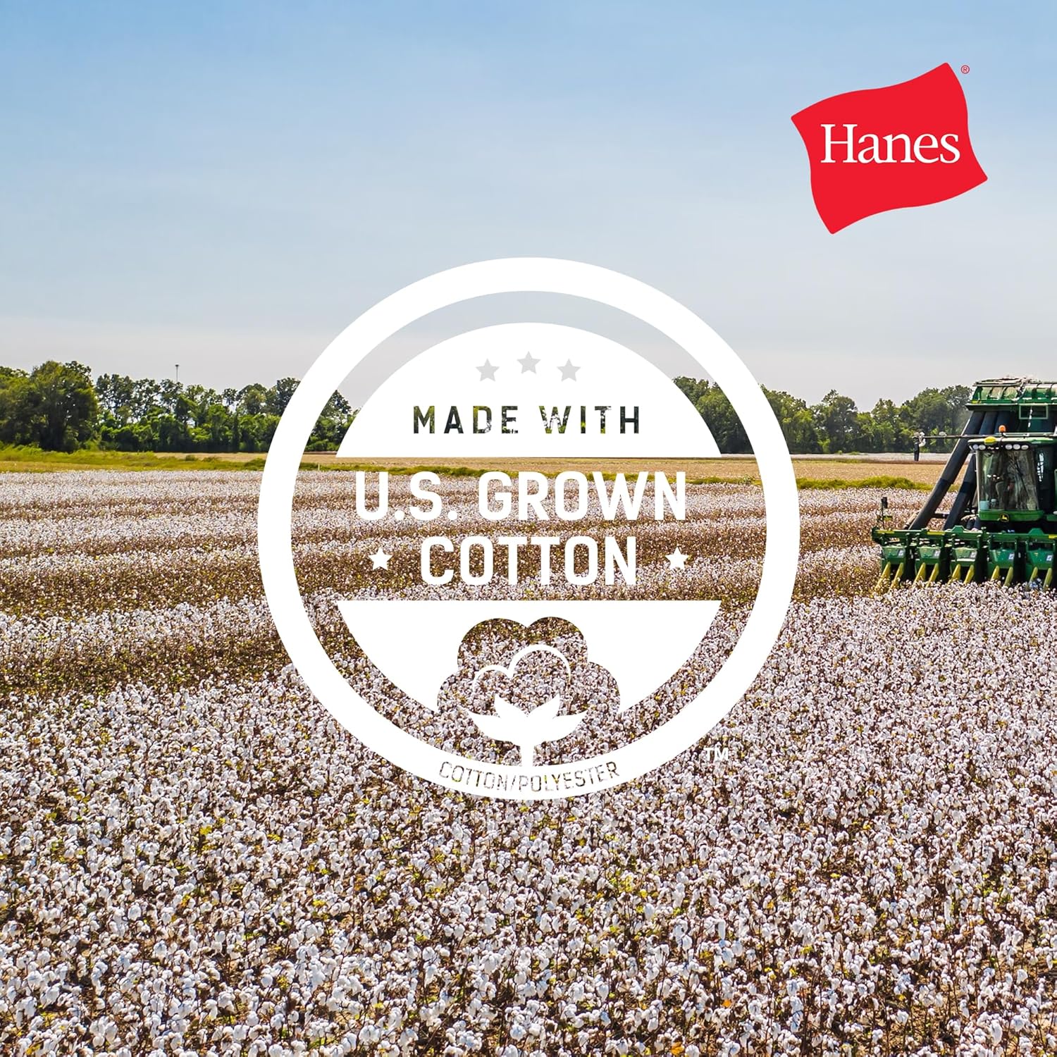 Hanes Herr Essentials t‑shirt 4 and 6 Packs, - Image 6